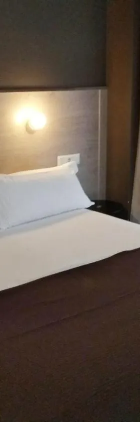 Hotel Delicias，位于萨拉戈萨的酒店