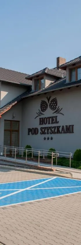 Hotel Pod Szyszkami，位于Koźmin的酒店