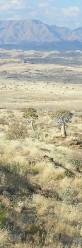 Namibs Valley Lodge，位于Gamsberg Pass的酒店