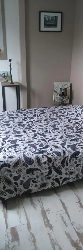 Chambre privée chez un particulier，位于卢瓦尔河畔圣塞巴斯蒂安的酒店
