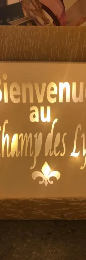 利斯田野酒店，位于Amancey的酒店