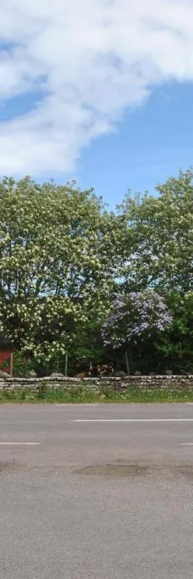 Sandgårdsborg，位于费尔耶斯塔登的酒店