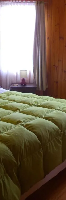 Hospedaje Ayelen，位于安库德的酒店
