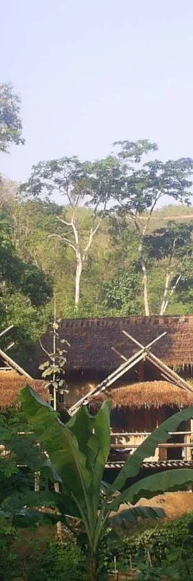 Hill Tribe Art House (Lahu & Akha Homestay)，位于Ban Khrae Yao Doi Bo的酒店