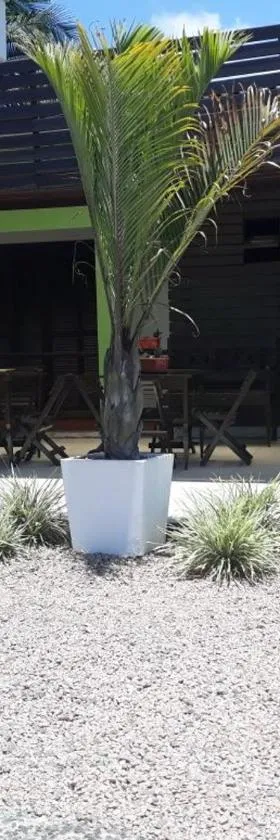 Pousada da Família，位于阿拉兰瓜的酒店