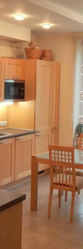 Apartamentai Luna，位于帕内韦日斯的酒店