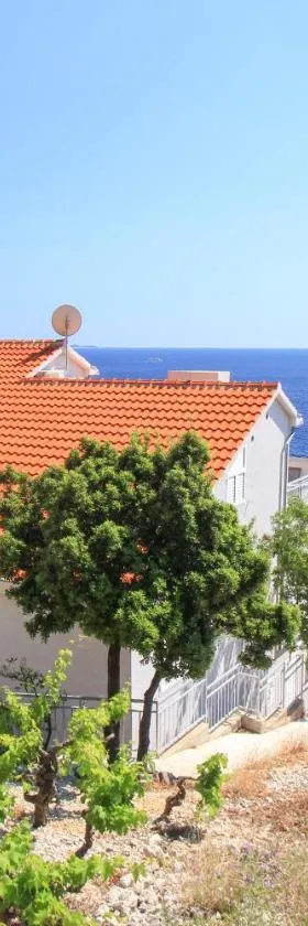Apartments Marketa，位于Gornji Dingač的酒店