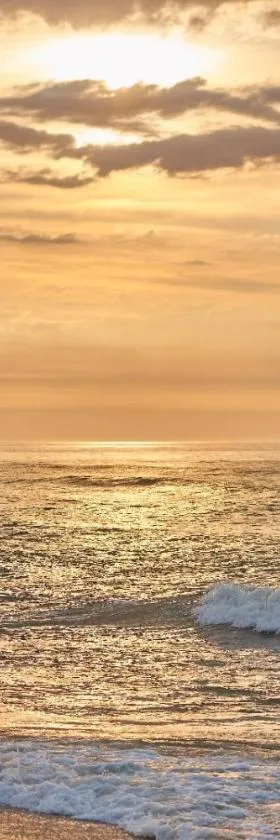 Drifting Sands Oceanfront Hotel，位于希普博特姆的酒店