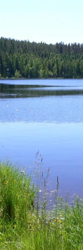 Vanha-Pälsilä lakeside farm，位于Kuhmoinen的酒店