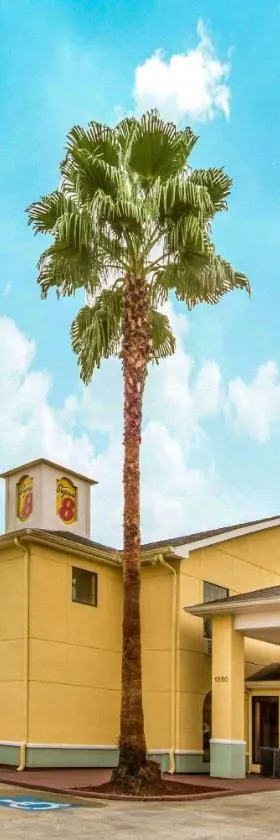 查尔斯湖/萨尔弗速8酒店，位于查尔斯湖的酒店