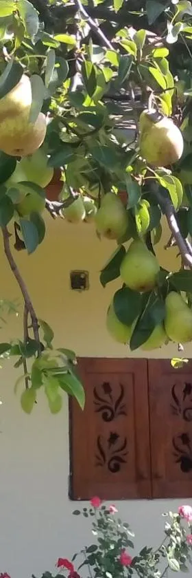 Bari Tanya，位于Kisnána的酒店