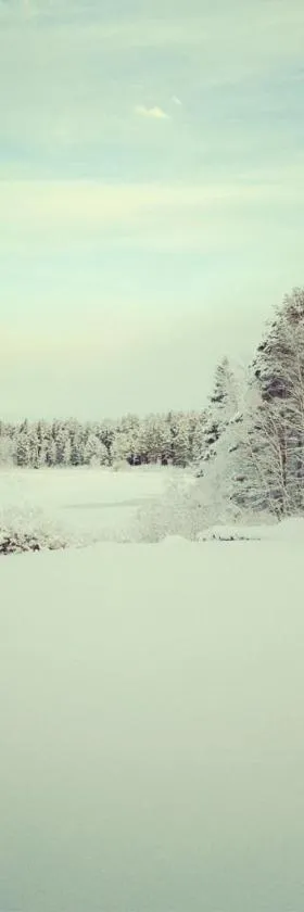 Norrsjön，位于Sörsjön的酒店