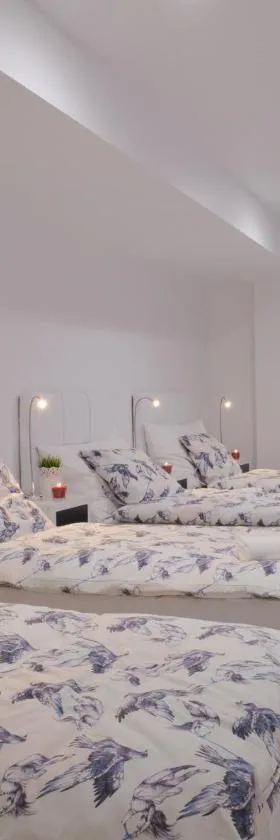 Hostel Camino de Finisterre，位于Mazaricos的酒店
