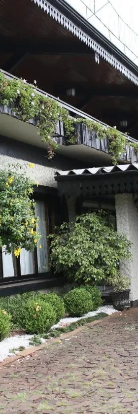 Elsenau Hotel，位于Panambi的酒店