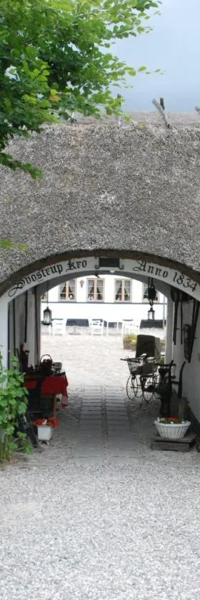 Svostrup Kro，位于锡尔克堡的酒店