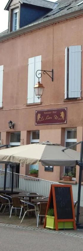 金狮酒店，位于奥若克斯的酒店