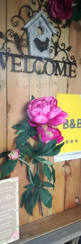 La Rose，位于Overpelt的酒店