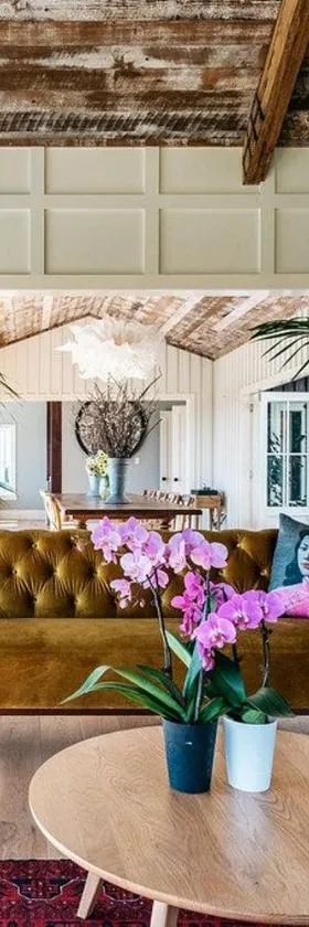 The Lodge at Mudbrick，位于欧尼罗亚的酒店