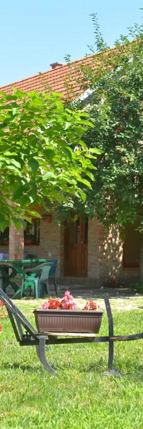 etno dom "zuza"，位于Kovačica的酒店