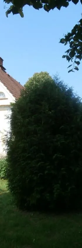 Penzion Zemanův Dvůr，位于Božanov的酒店