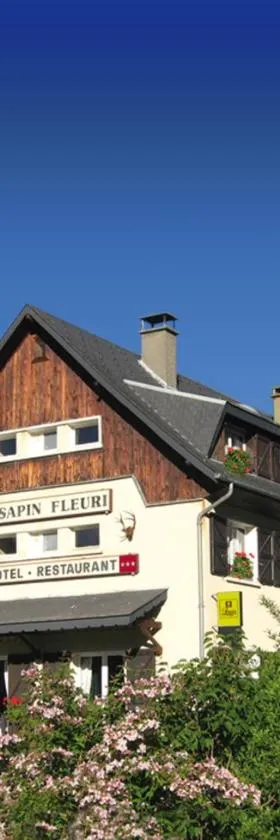 Hôtel - Restaurant - Bar - Le Sapin Fleuri，位于Bourg dʼOueil的酒店