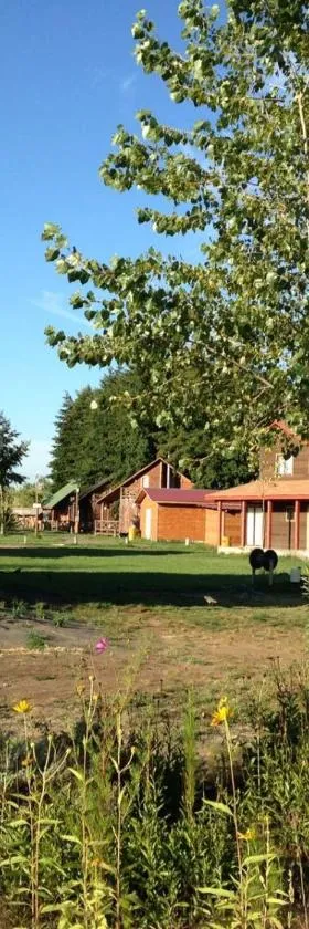 Cabanas Turismo Don Ambrosio，位于Salto del Laja的酒店
