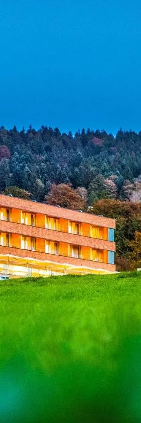 弗里奇山上酒店 - 仅限成人入住 ，位于洛豪的酒店