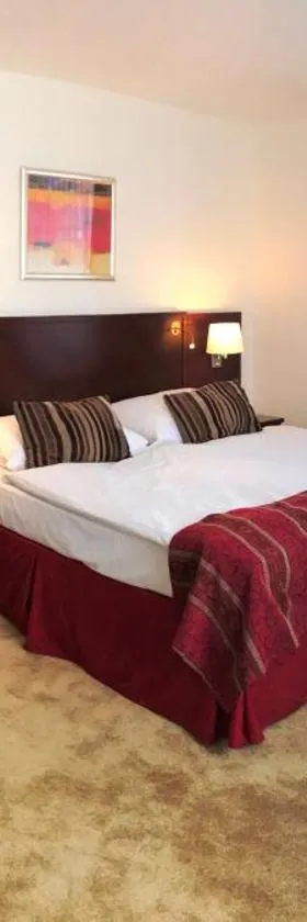 Hotel Atrium，位于维什科夫的酒店