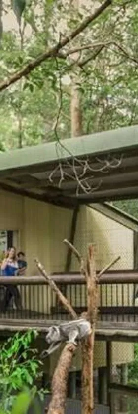 Springwood Meditation Centre 春木禪修渡假中心，位于斯普林伍德的酒店