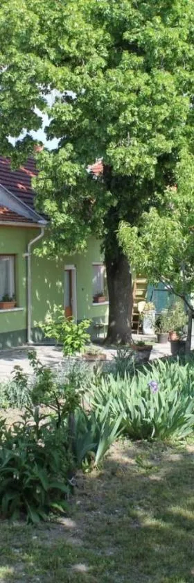 Homoky Pincészet és Vendégház，位于Tállya的酒店