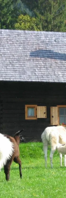 Hütte zum Verlieben，位于古尔克的酒店
