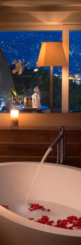卢加诺风景酒店，位于卢加诺的酒店