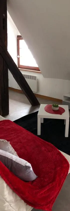 Duplex à Ribeauvillé，位于希伯维列的酒店