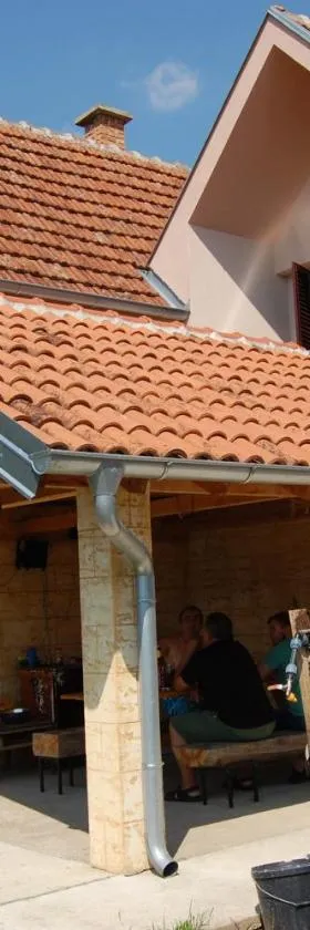 Vila Ljubomir - Srebrno Jezero，位于Kiseljevo的酒店