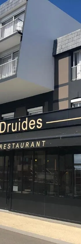 Hôtel des Druides，位于基伯龙的酒店