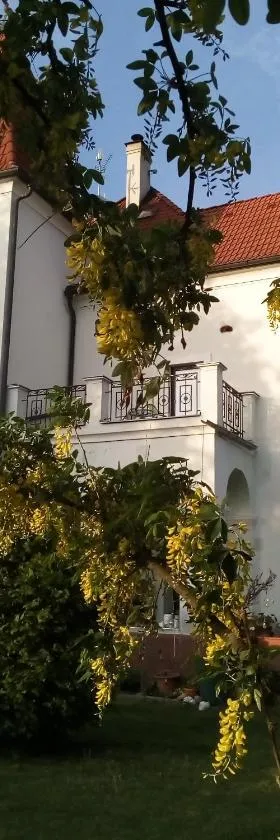 Villa Liduška s kavárnou，位于贝希涅的酒店