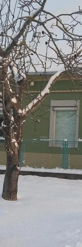 Nicoláj Vendégház és Tanya，位于Dég的酒店
