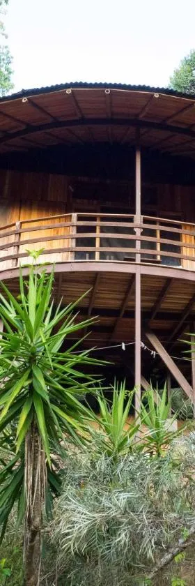 Paradiselodge Jungleguesthouse，位于Platanillo的酒店