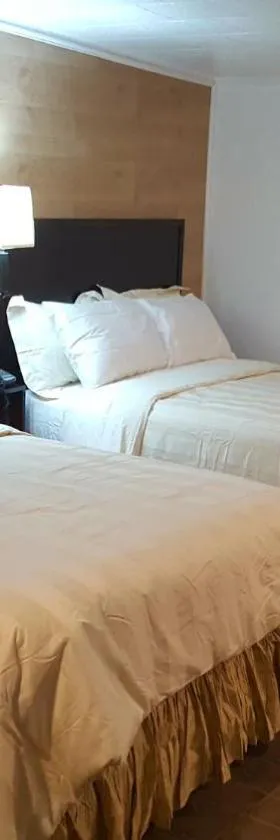 Stucco Lodge，位于班戈的酒店