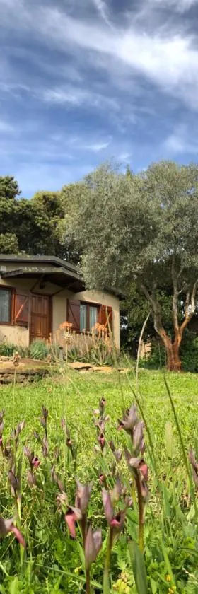 La Cerca Del Alcornoque，位于Casas de Belvis的酒店