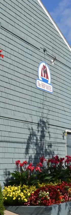 The Ship Motel，位于亚历山德里亚贝的酒店
