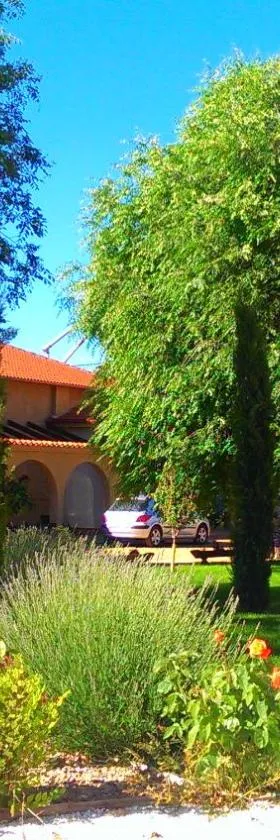 La Aldea Colorada Casa Rural，位于Mota del Marqués的酒店