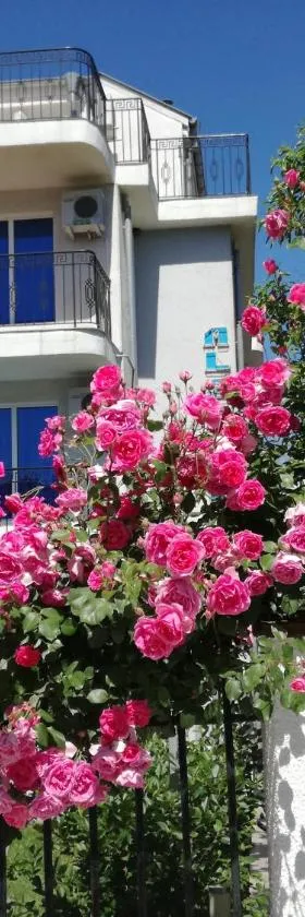 Albatros 2 Family Hotel，位于希典的酒店
