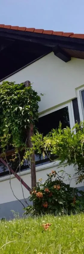 Kuća za odmor ,,Oletić 2"，位于圣马丁娜穆里的酒店