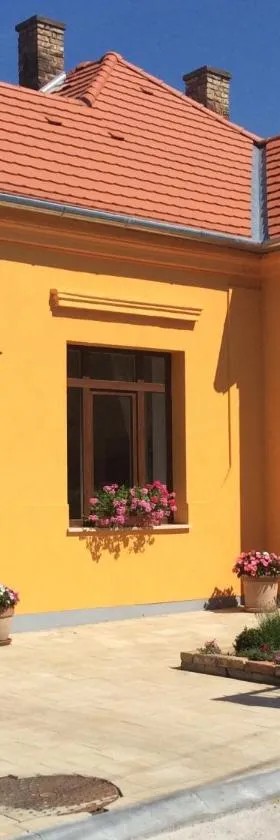 Furedi virag villa，位于巴拉顿菲赖德的酒店