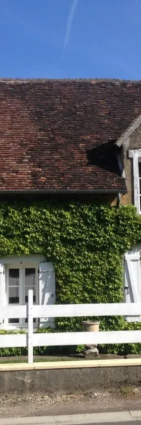 La Vigne dorée，位于Saint-Martin-des-Champs的酒店