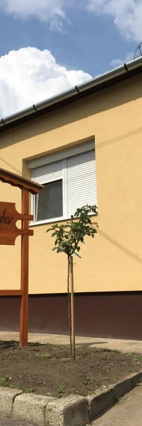 Rózsa Vendégház，位于托考伊的酒店