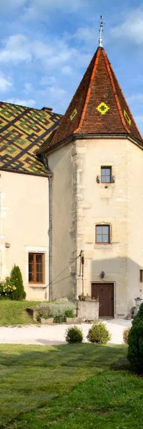L'Hote Antique - MAISON D'HOTE- 4 Suites avec cuisine，位于Pichanges的酒店