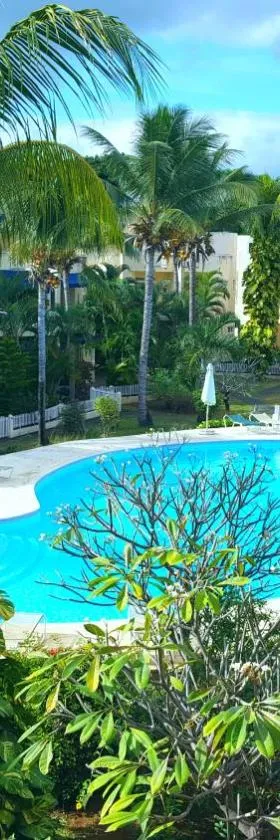 Villa in Le Tamier, 4 bedrooms, 300m Flic en Flac beach，位于弗利康弗拉克的酒店