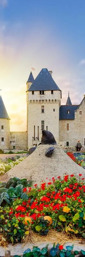 Hôtel du Château du Rivau，位于莱梅雷的酒店